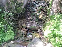 Lesn� pot��ek u Mumlavy