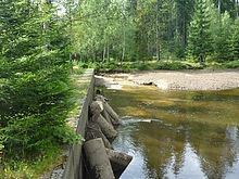 Bukov� �palky budou slou�it Harrachovsk�m skl���m