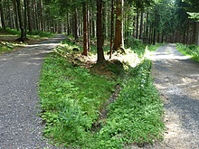 Pojedeme v levo po �erven�