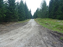 Tato cesta n�s dovede zp�tky do Harrachova