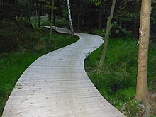 M�stek p�es mok�inu