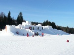 RYTSK HRY u hradu Harrachtejn - Nedle 13.2. 2011 13 - 16h.