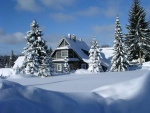 Pension Harrachov - Harrachov