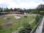 Liberec - ZOO (foto 1)